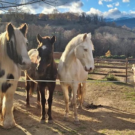 Chambre D'Hotes Le Petit Ranch Los Masos Εξωτερικό φωτογραφία