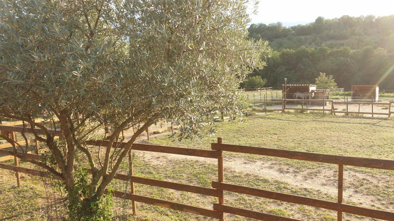 Chambre D'Hotes Le Petit Ranch Los Masos Εξωτερικό φωτογραφία