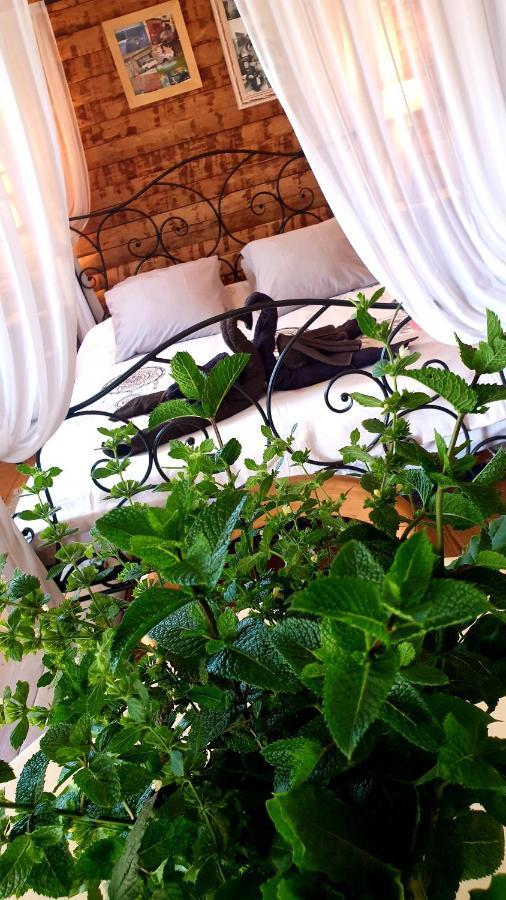 Chambre D'Hotes Le Petit Ranch Los Masos Εξωτερικό φωτογραφία