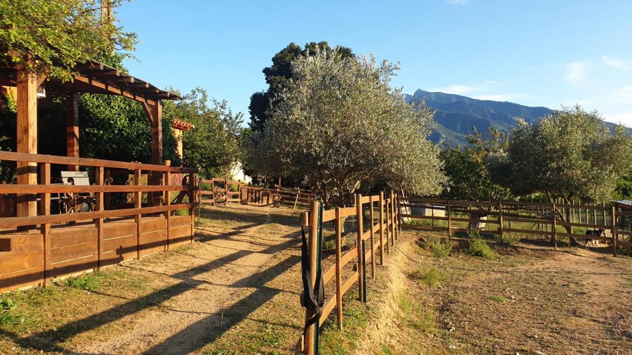 Chambre D'Hotes Le Petit Ranch Los Masos Εξωτερικό φωτογραφία