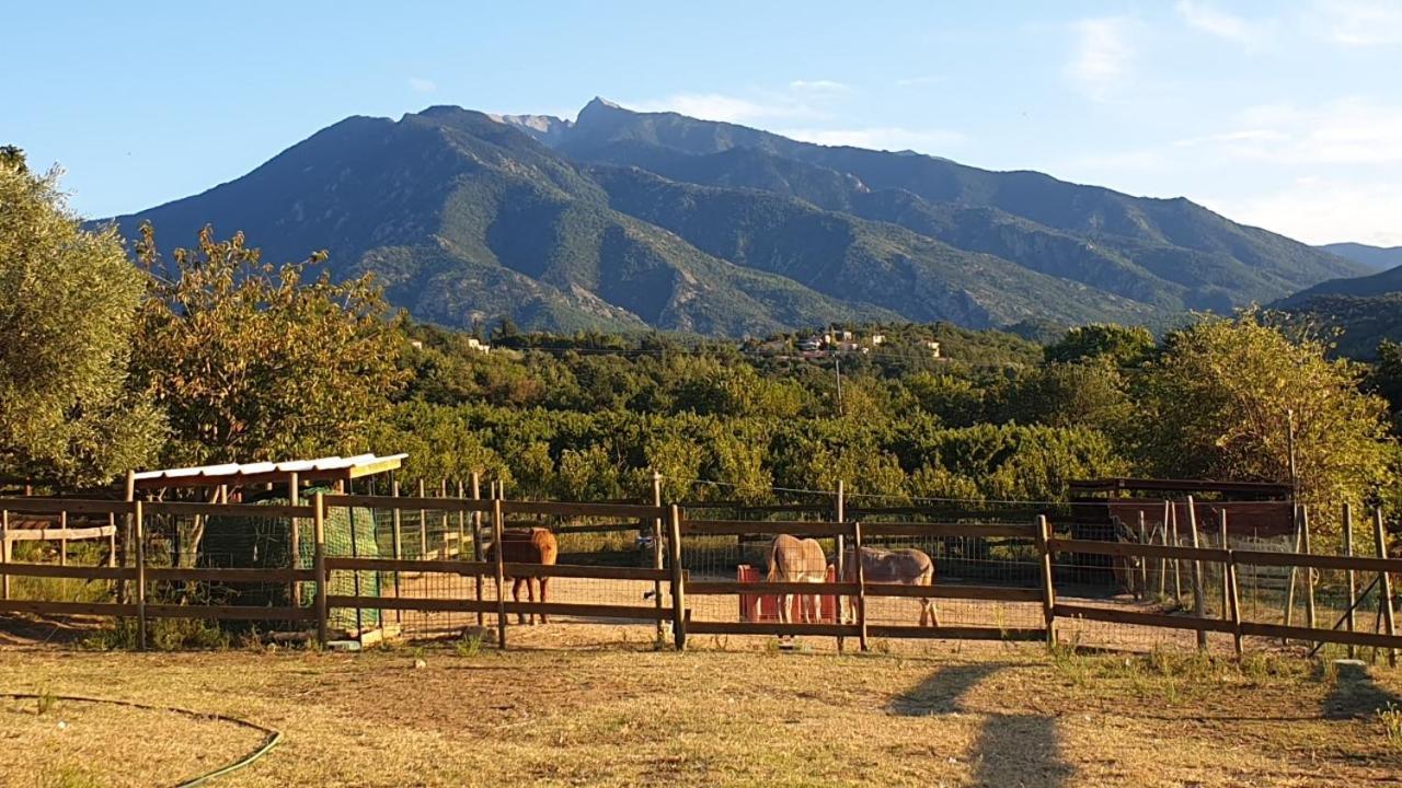 Chambre D'Hotes Le Petit Ranch Los Masos Εξωτερικό φωτογραφία