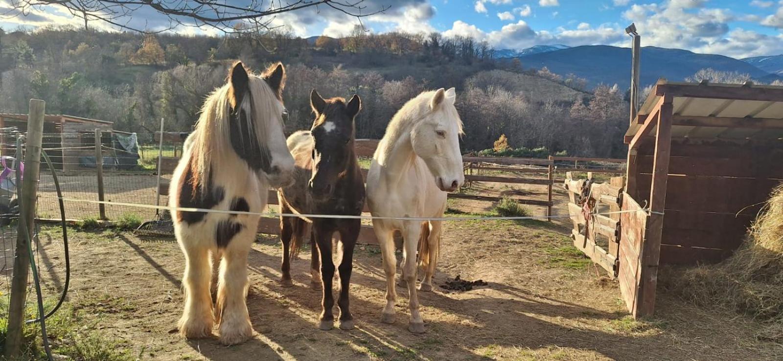 Chambre D'Hotes Le Petit Ranch Los Masos Εξωτερικό φωτογραφία