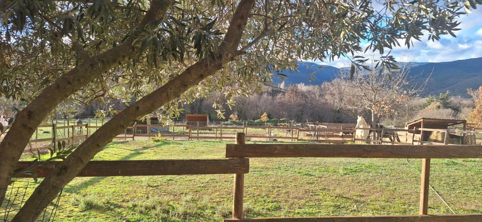 Chambre D'Hotes Le Petit Ranch Los Masos Εξωτερικό φωτογραφία
